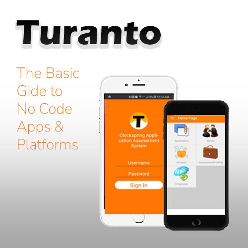 Turanto Codeless Applications gallery image