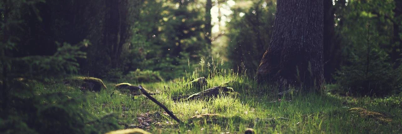 Braunson Yager cover