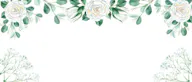 Wedding Album Shortlister