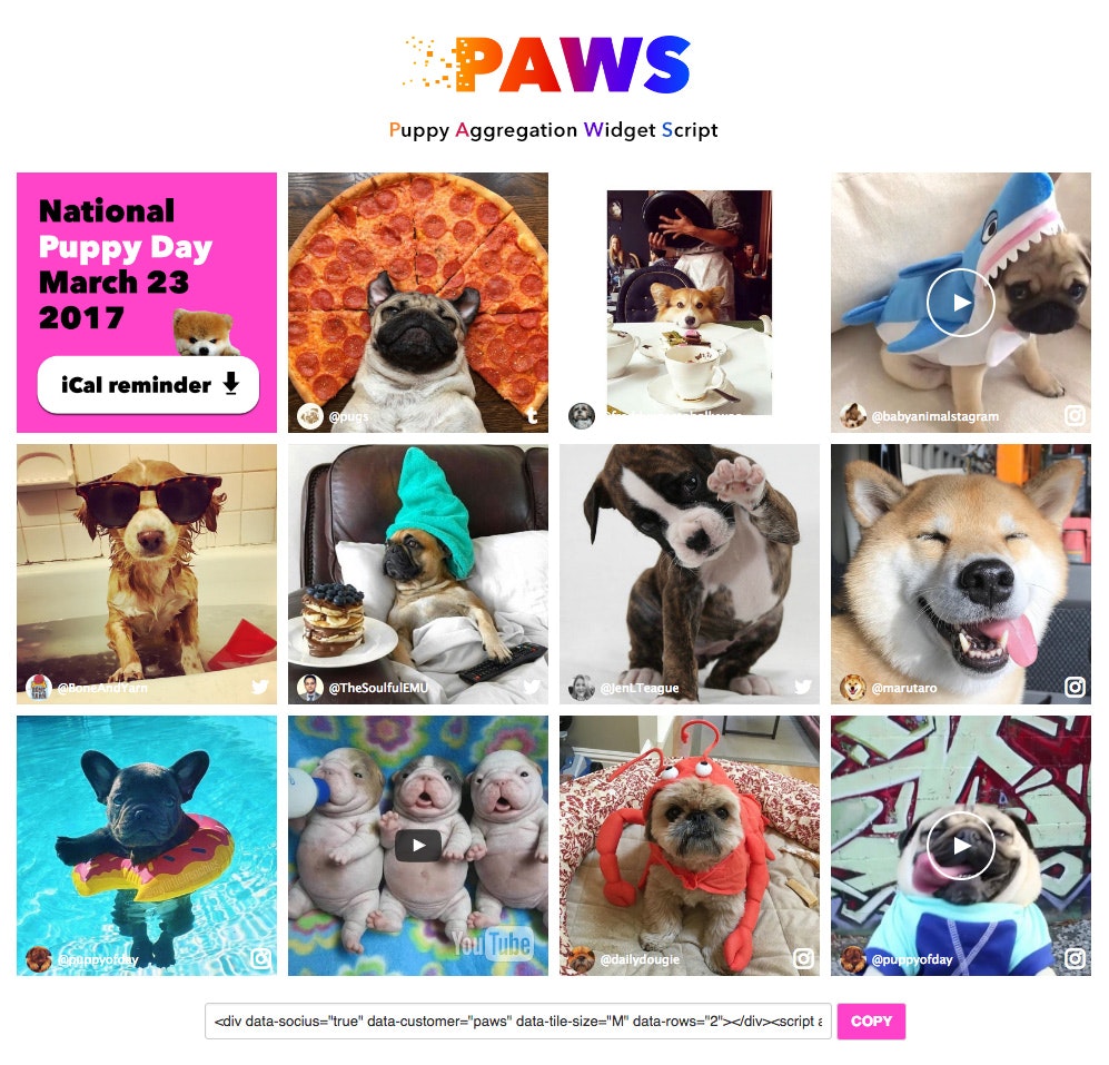 P.A.W.S. gallery image