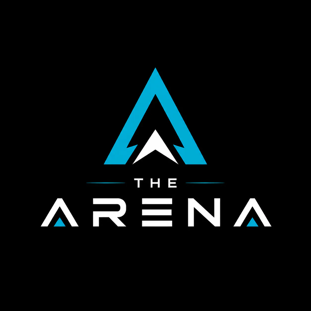 THE ARENA gallery image