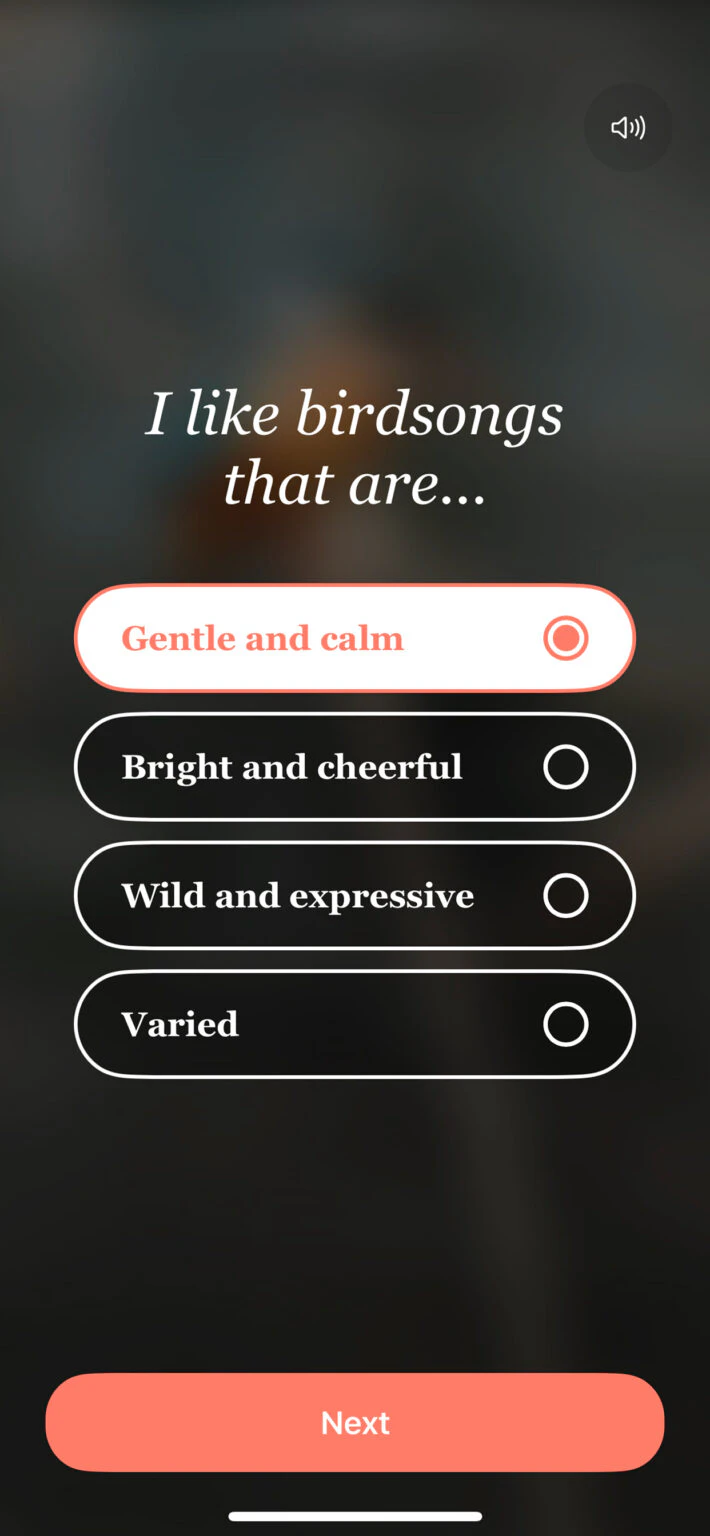 Bird Rise screenshot 2