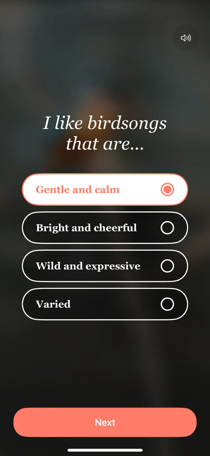 Bird Rise screenshot 3