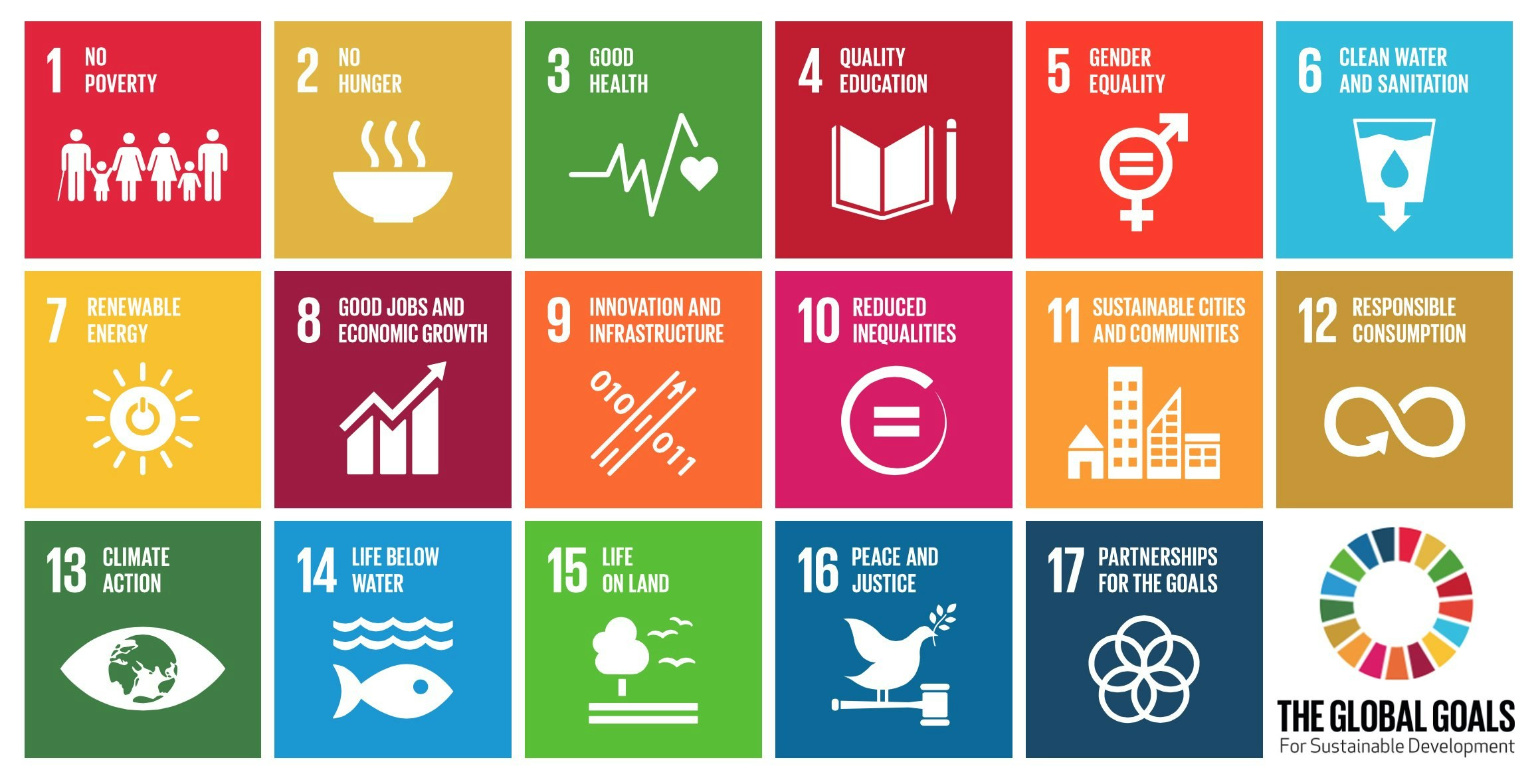 SDG.careers gallery image