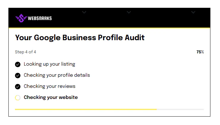 WebSnarks Google Business Profile Check gallery image