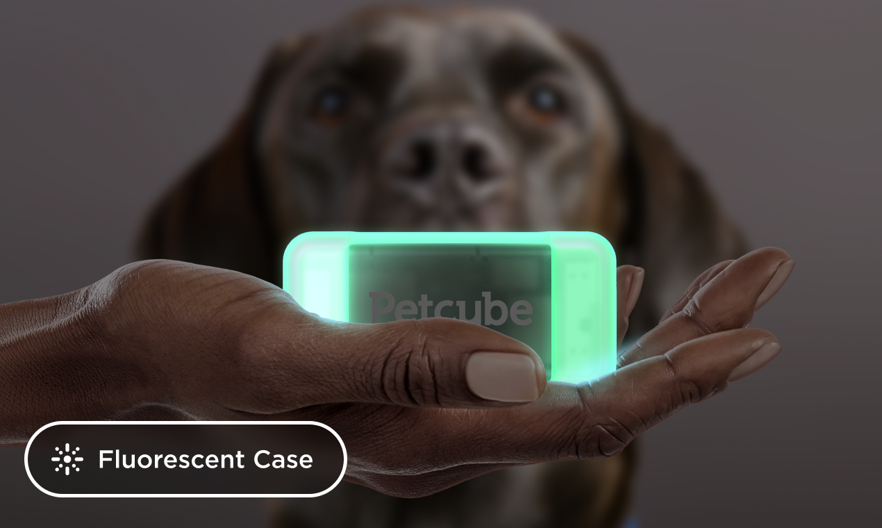 Petcube GPS Tracker - Live Location отслеживает интеллектуальную активность для собак медиа 8