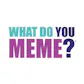 What do you meme?