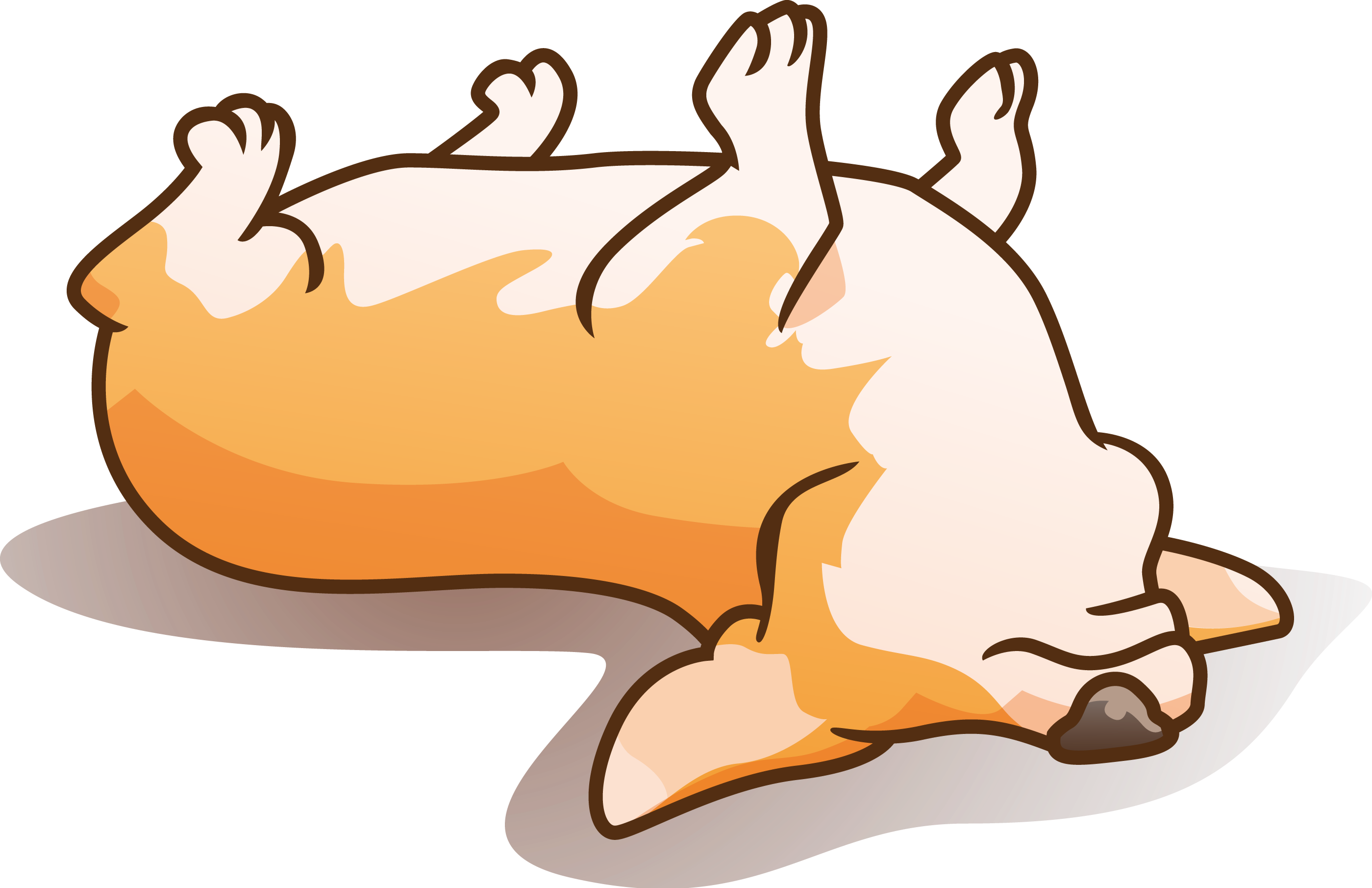 Corgi Splash gallery image