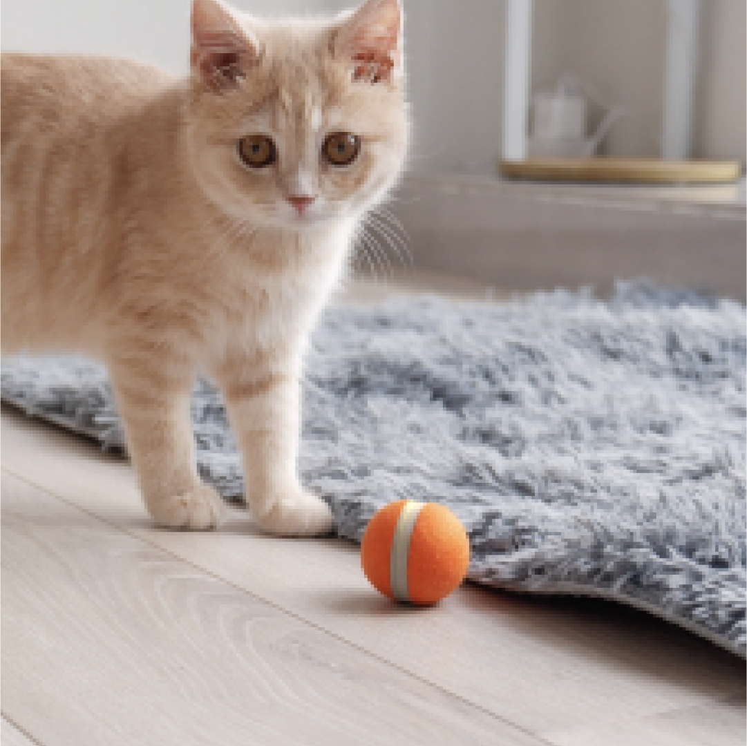 Cheerble Board Game gallery image