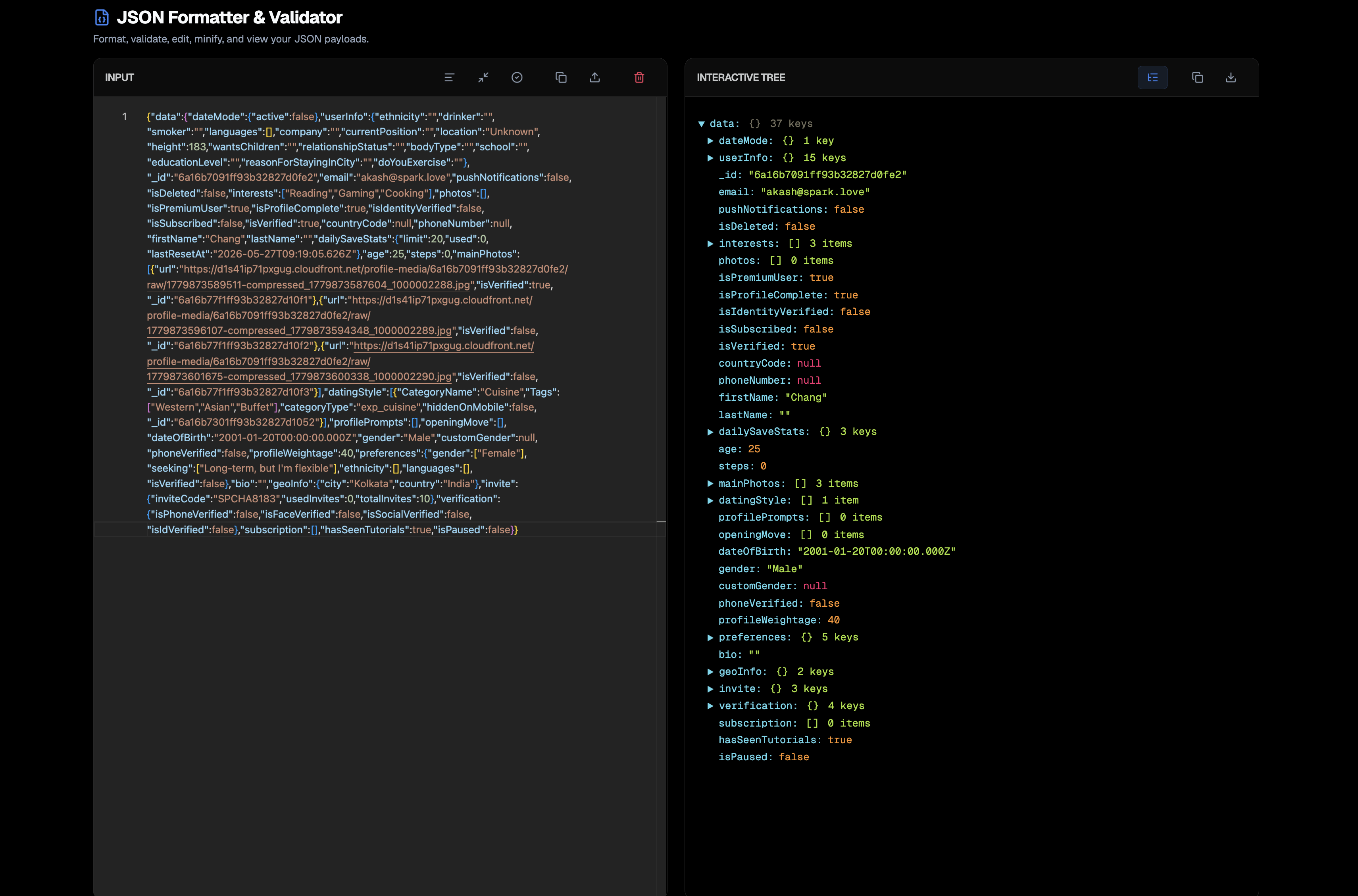 Birhrt Dev Tools gallery image