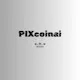 Protocol PIXcoin