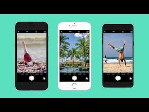 Picturray gallery image