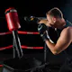 BotBoxer