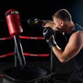 BotBoxer