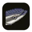 Remora
