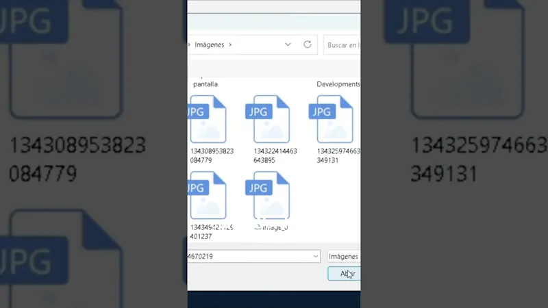 Ordenfix screenshot 1 (video preview)