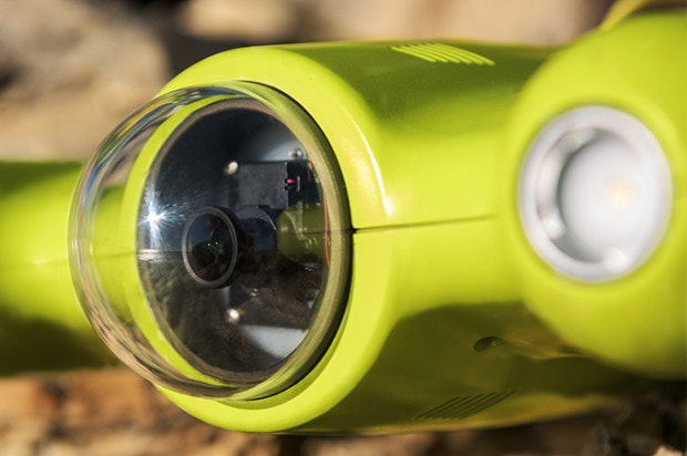 Gladius gallery image