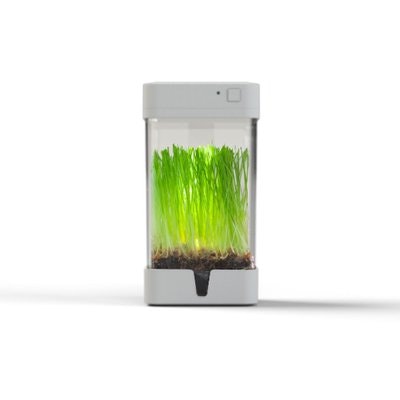 OrchidBox Smart Mini Terrarium 🌱