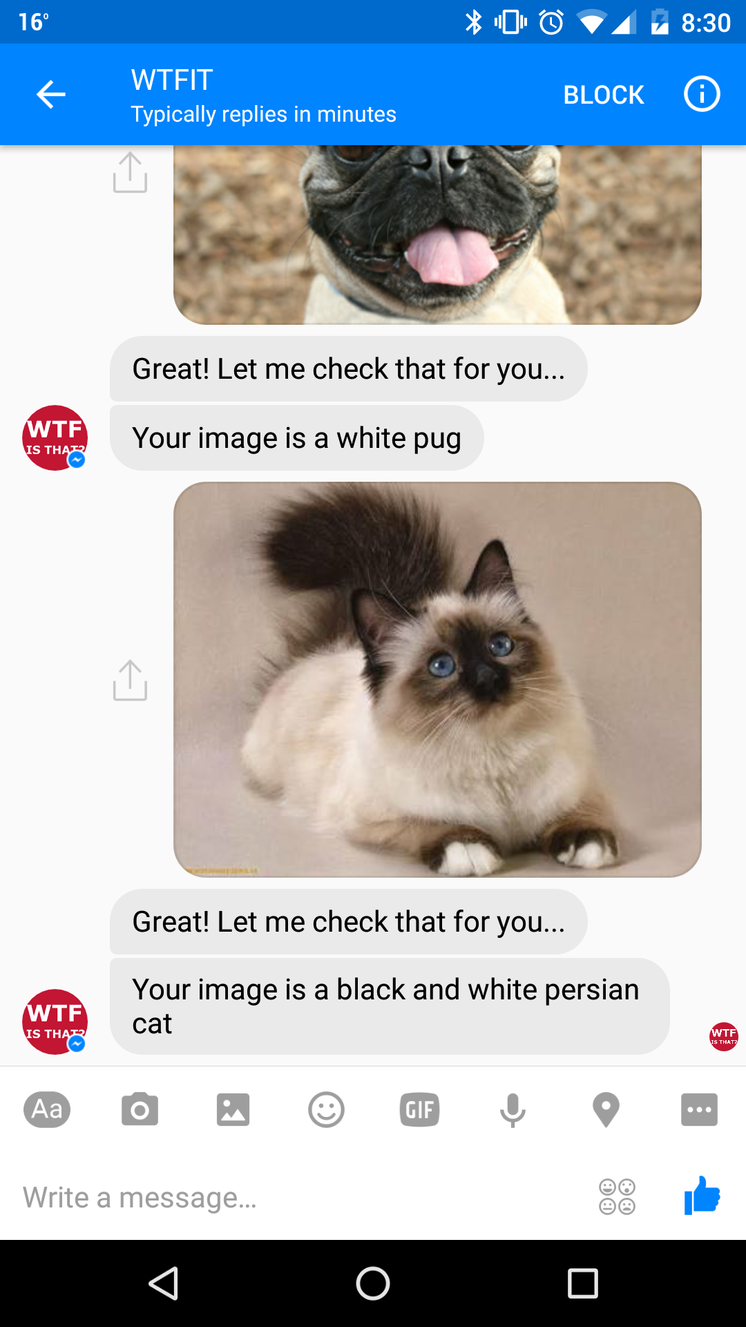 WTF is that? Image