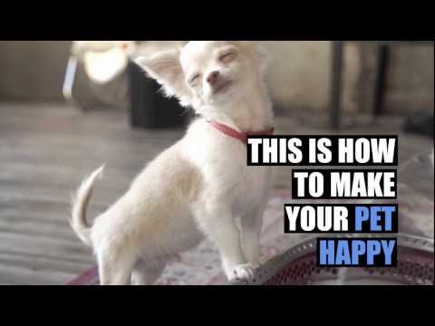 THE WORLD'S 1ST ERGONOMIC PET CARRIER gallery image