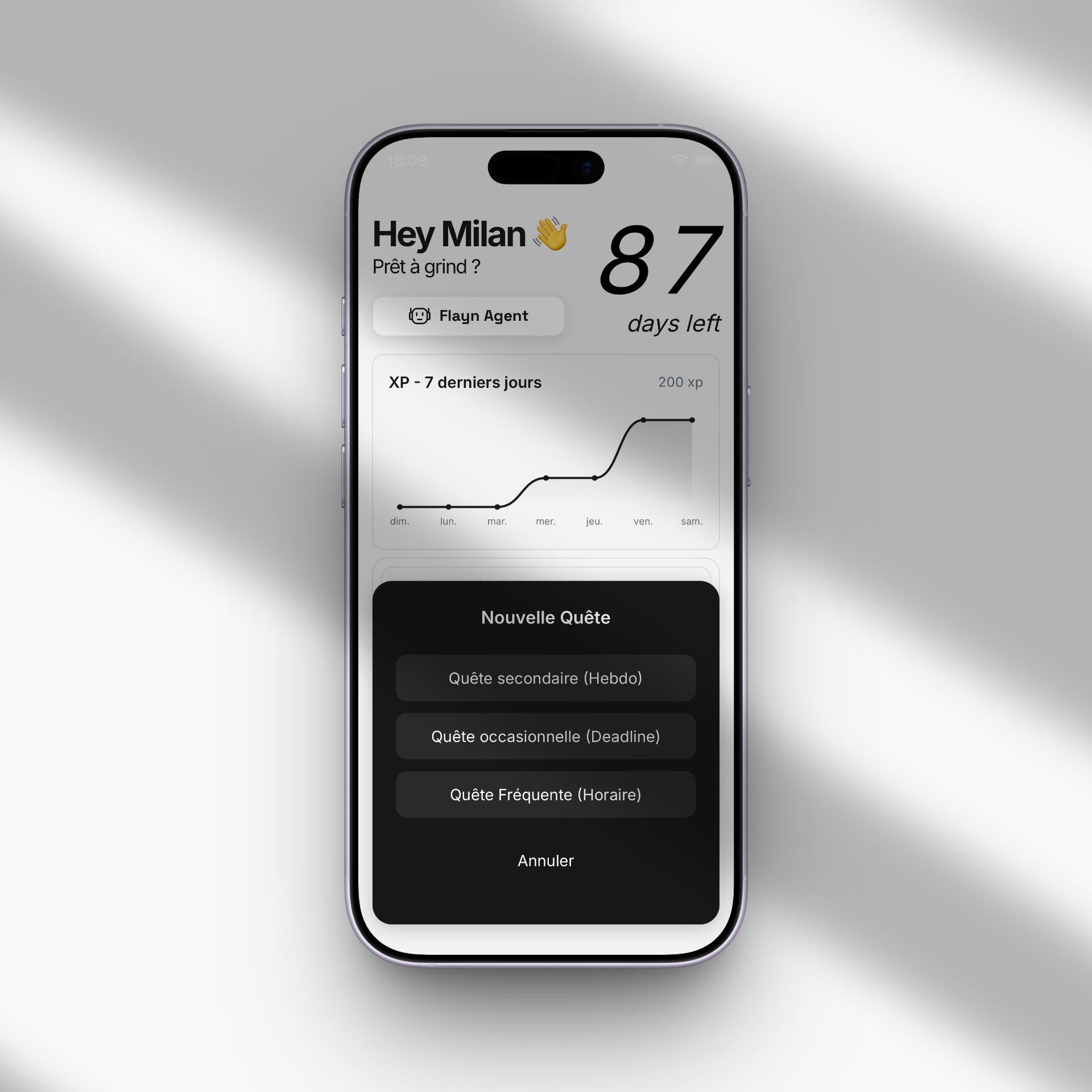 Flayn - Screenshot 2 showing product features and functionality
