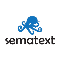 Sematext Experience