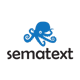 Sematext Experience