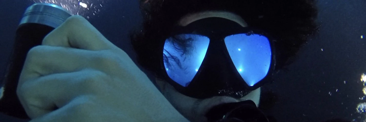 William Falcon cover