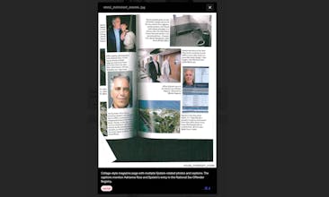 Epstein Files Organized & Searchable gallery image