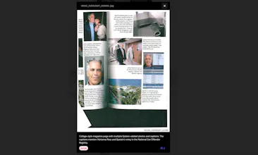 Epstein Files Organized & Searchable gallery image