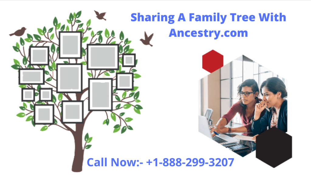 Ancestry Support