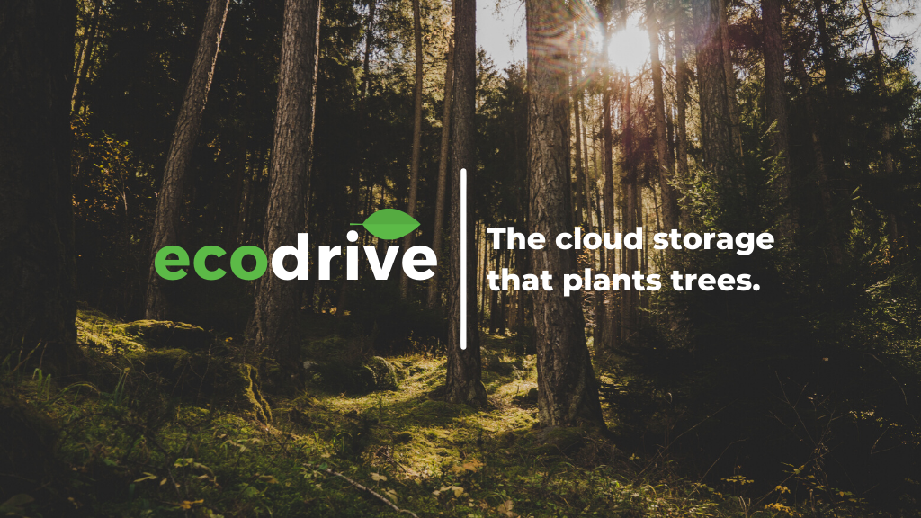 EcoDrive, A new home for your files. gallery image