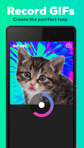 Giphy Camera Android gallery image