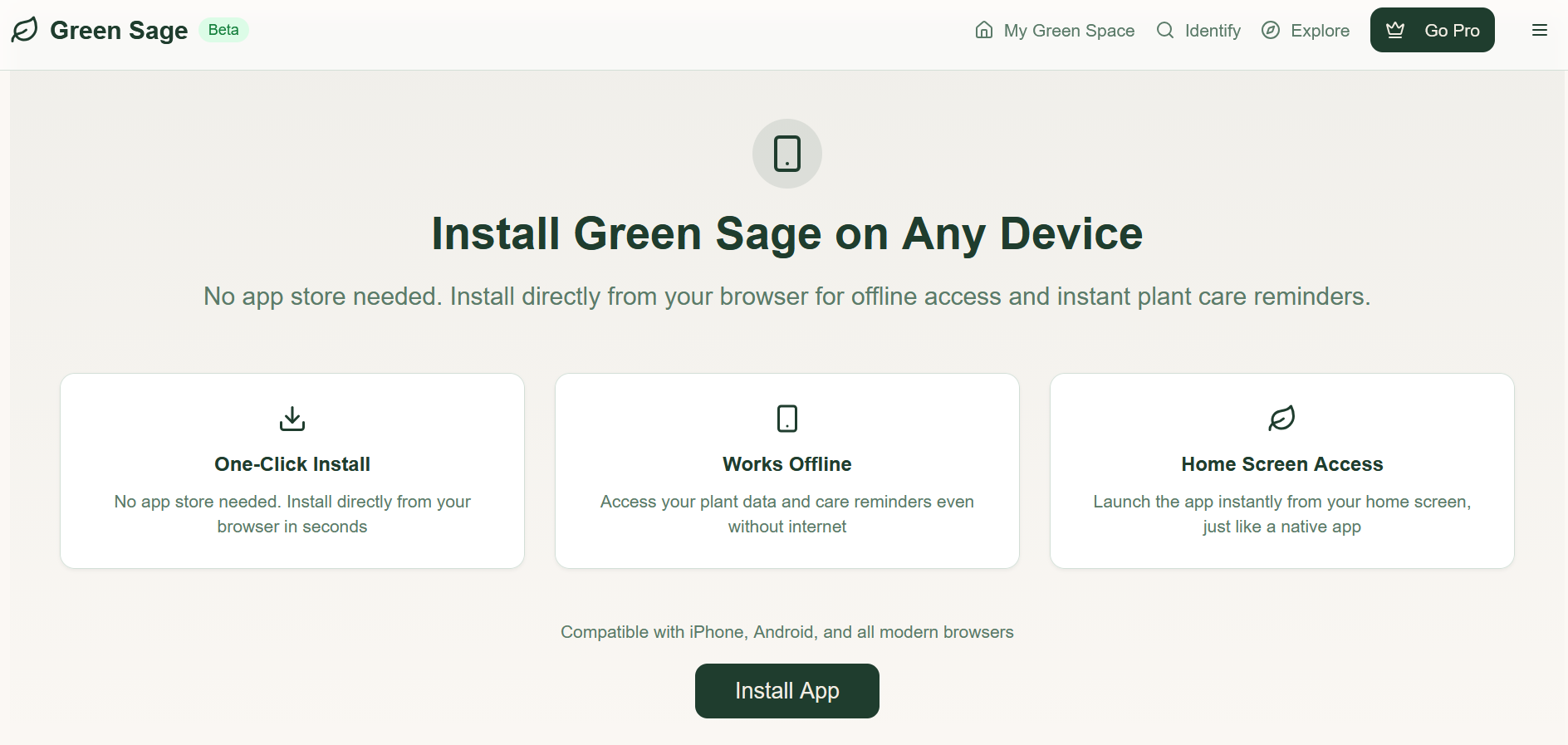 Green Sage gallery image