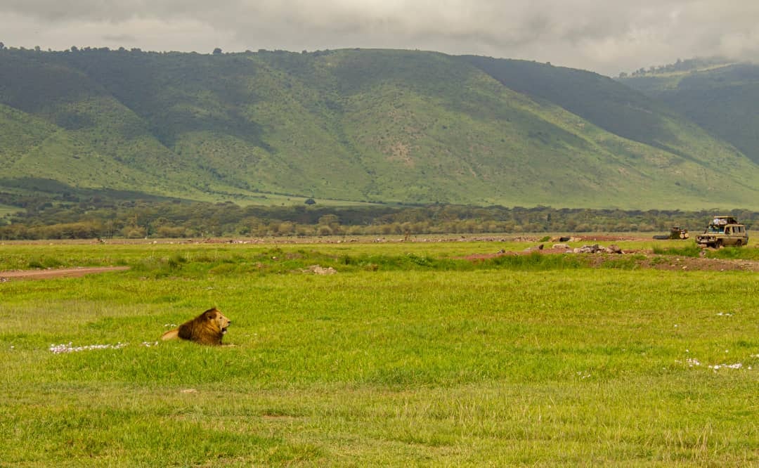 Africantrust Safari gallery image