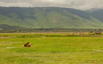 Africantrust Safari gallery image