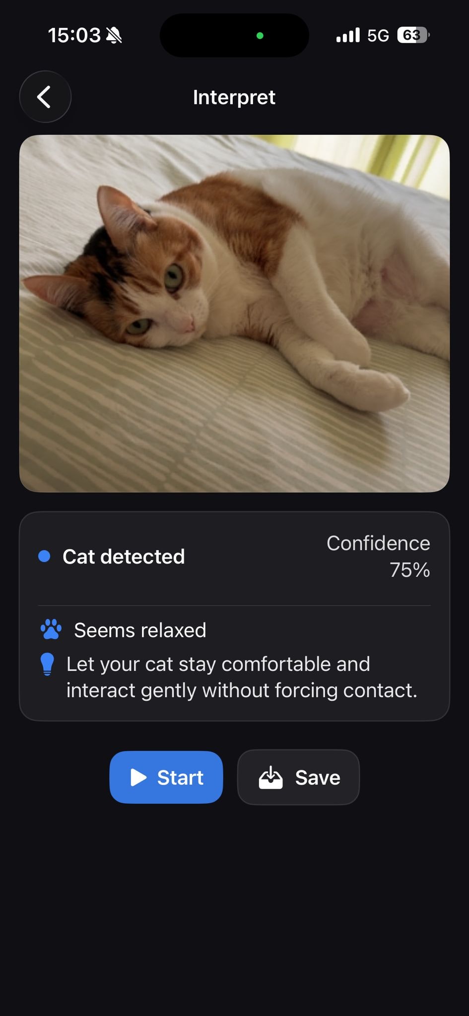 Cat Sense gallery image