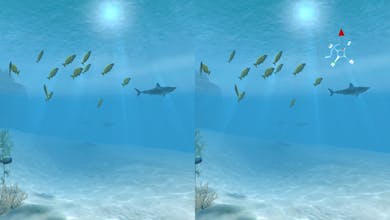 Sharks VR gallery image