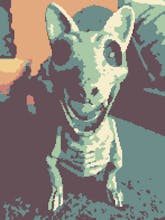 Pixel Projection gallery image