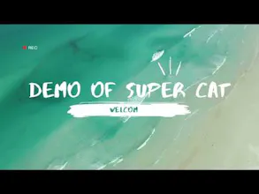 Super Cat AutoML gallery image