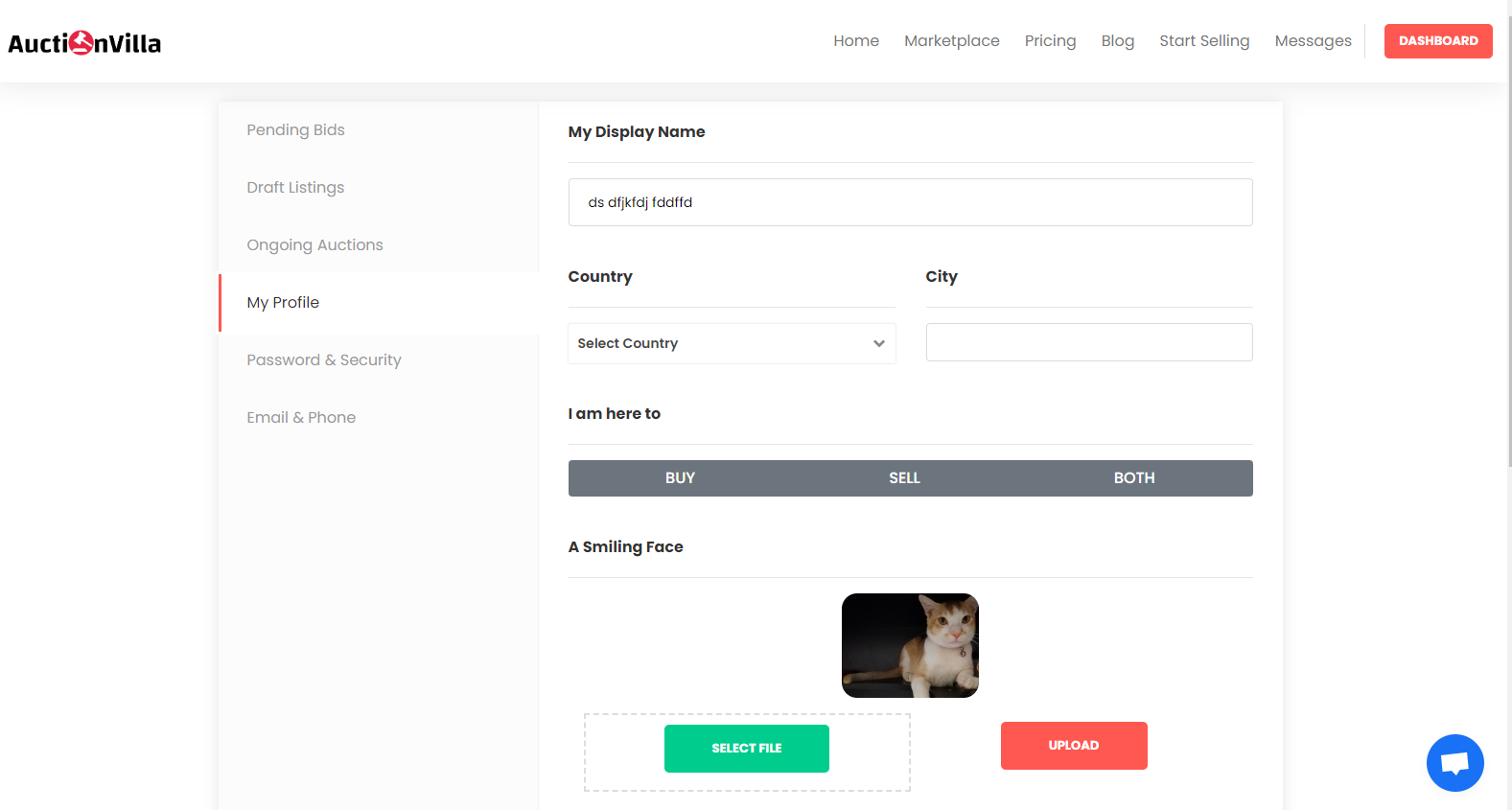 AuctionVilla.IO gallery image