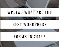 #WPblab – What are the best #WordPress forms in 2016? media 3