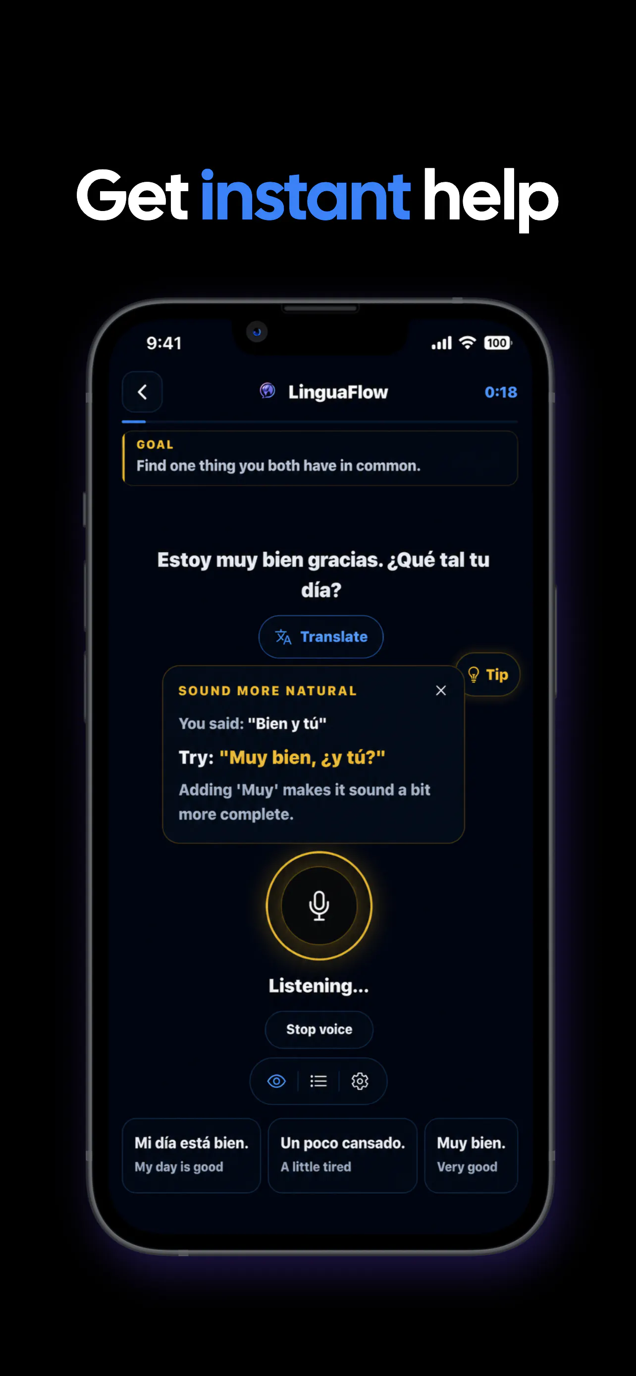 LinguaFlow gallery image
