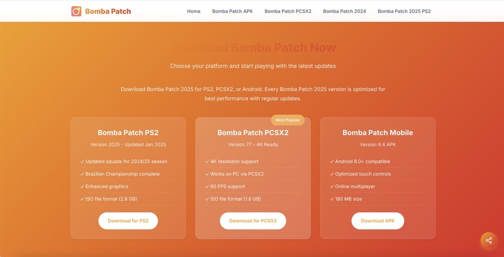 Bomba Patch gallery image