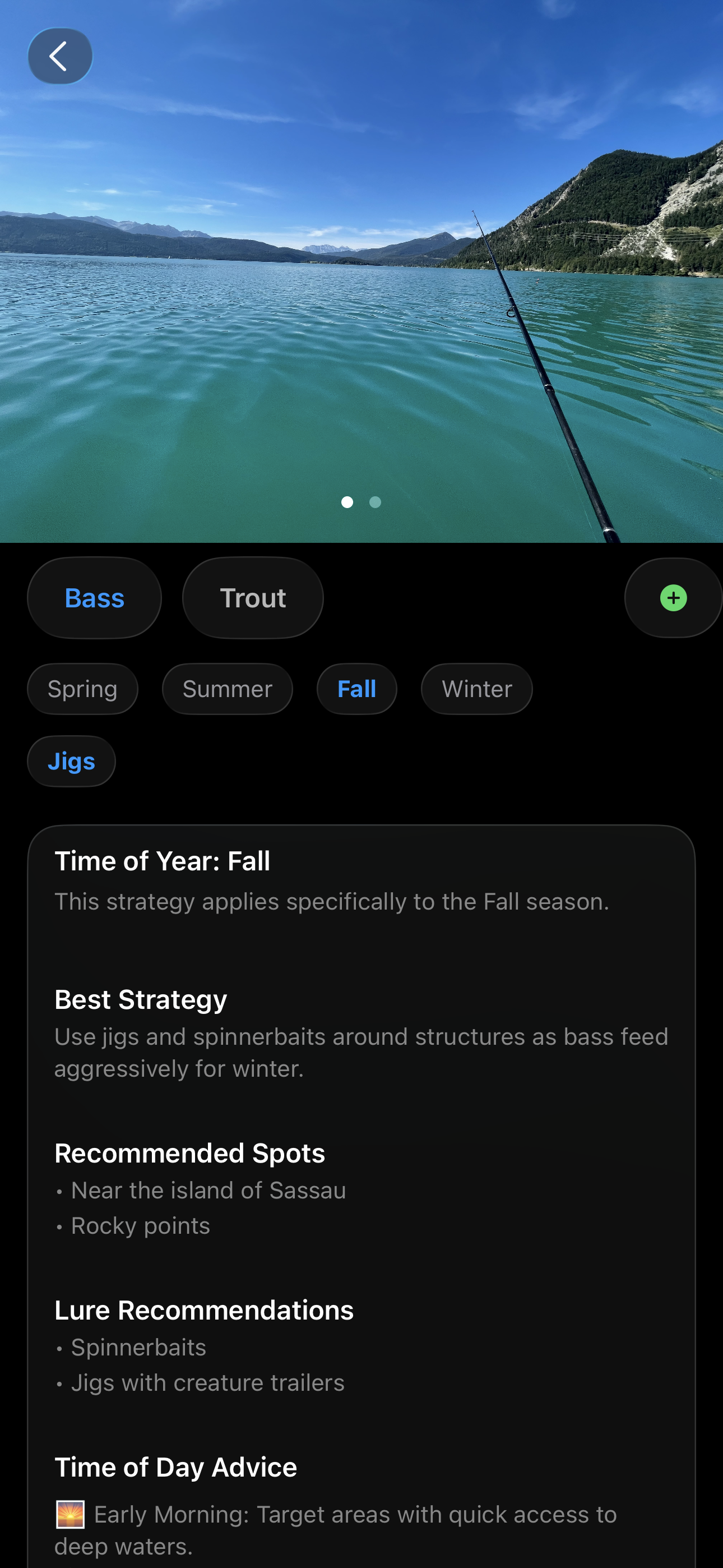 FishID Cam gallery image