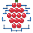 Pi Scanner
