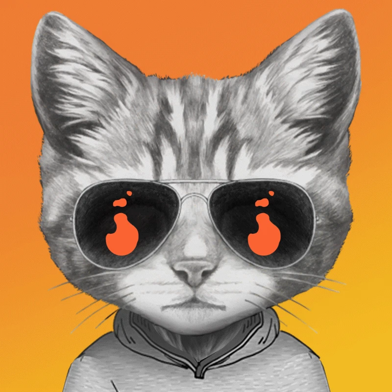 Auditor for Instagram