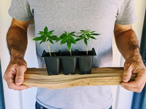 Grow It From Home gallery image