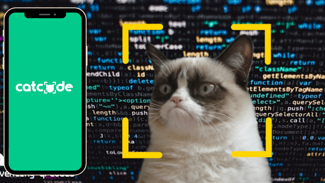 Catcode gallery image