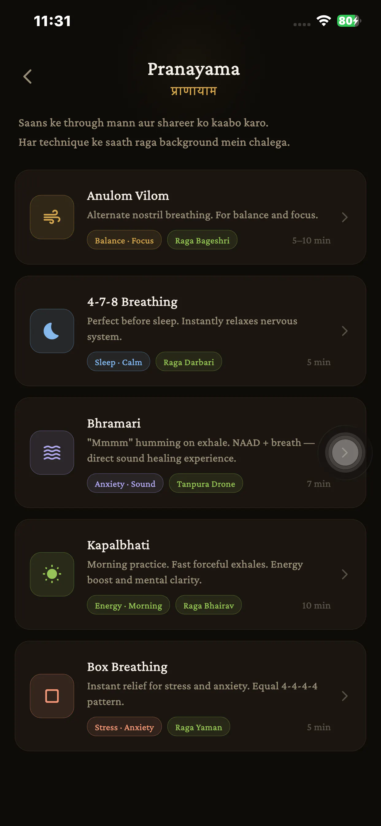 NAAD - Indian Sound Wellness gallery image